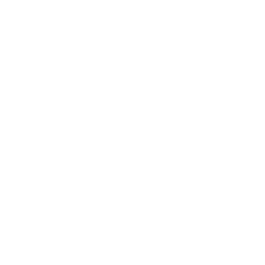 Bloomreach company logo