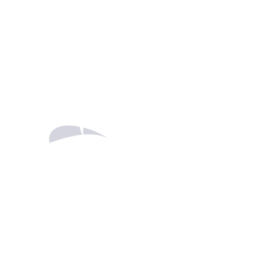 Pega company logo