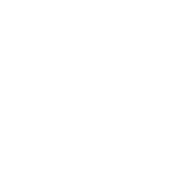 Selligent company logo