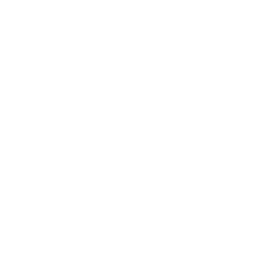 Shopify Plus logo