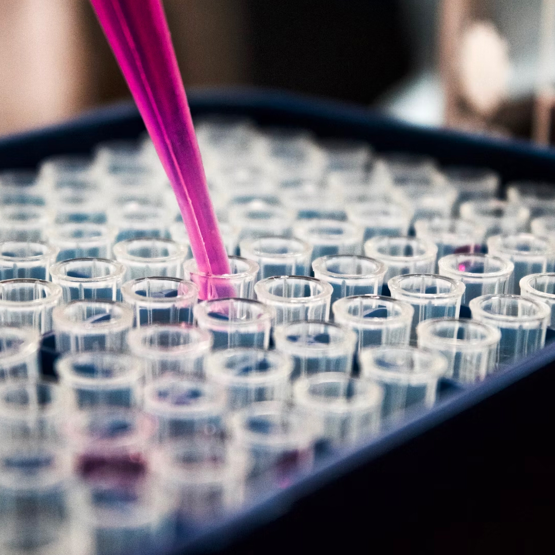 Pipette above test tubes