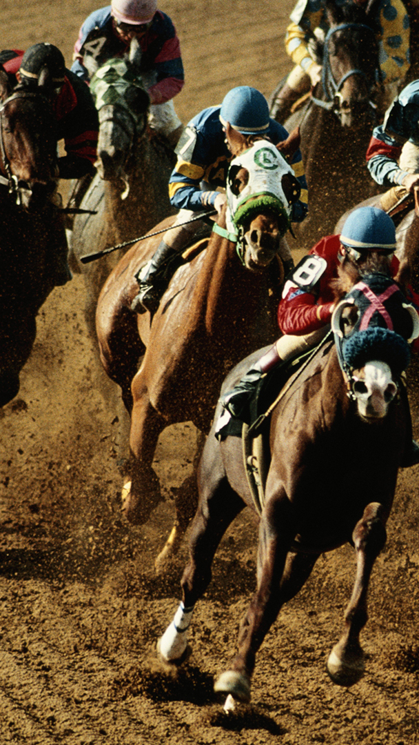 Horses racing on a track