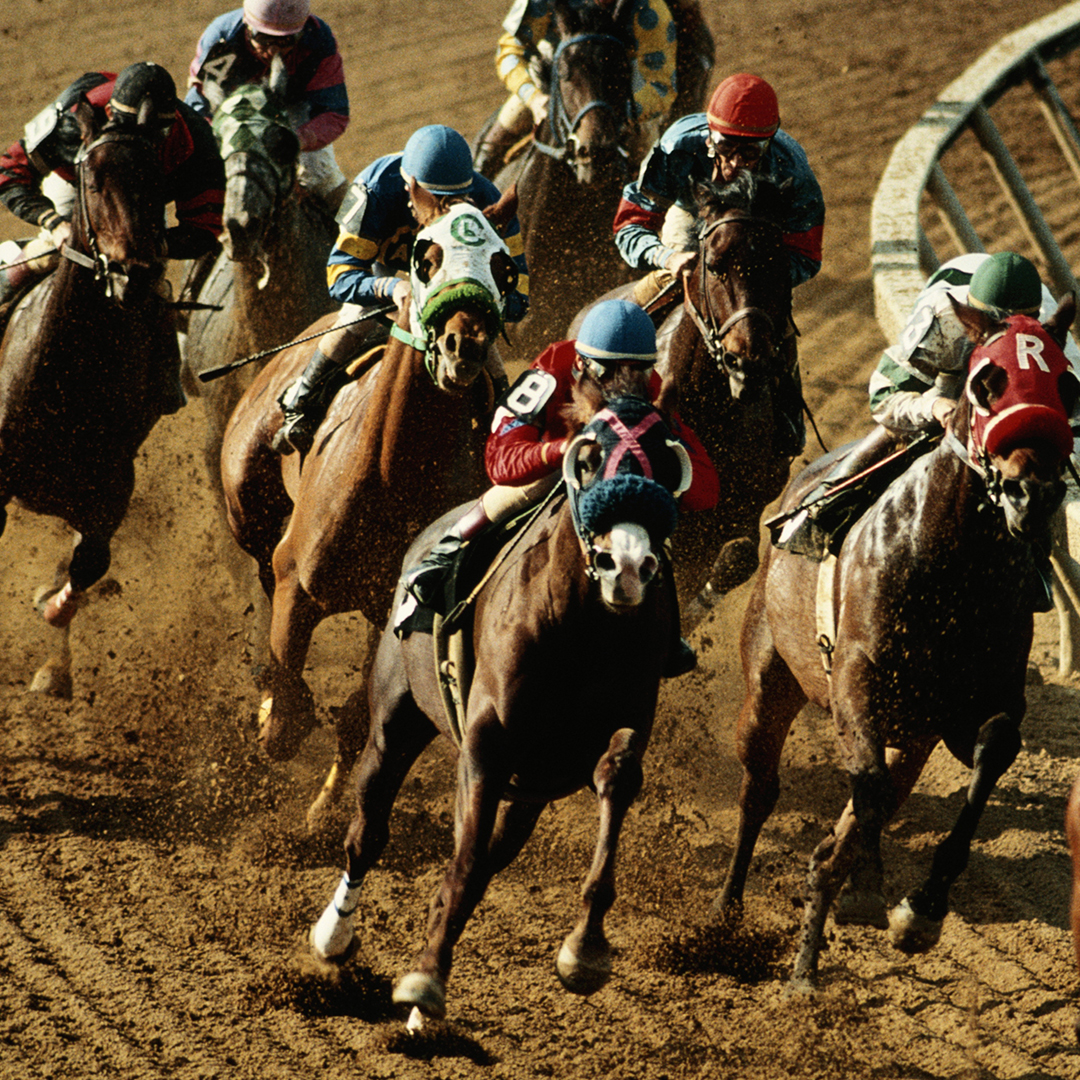 Horses racing on track