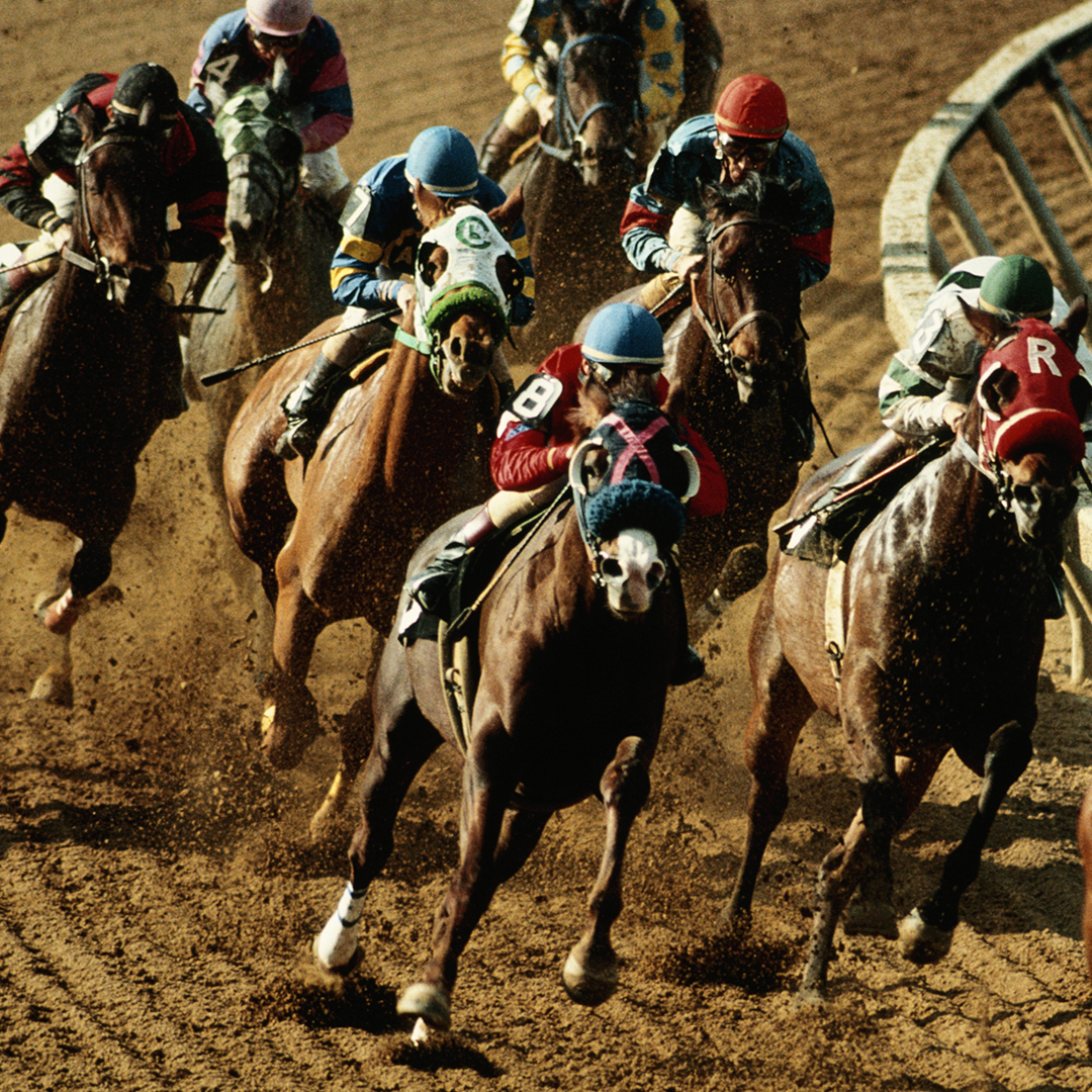 Horses racing on a track