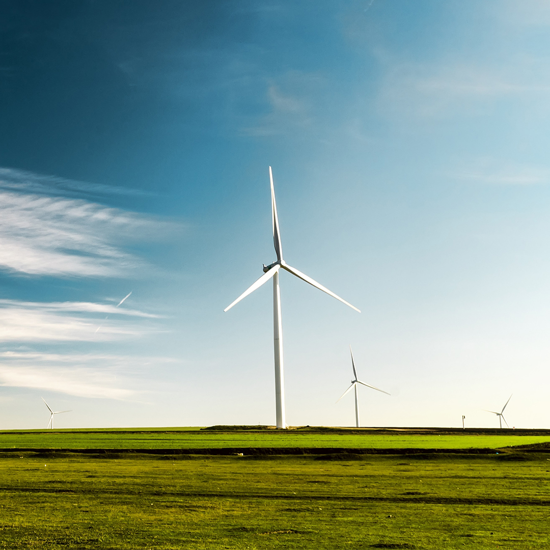 Windmills in a field