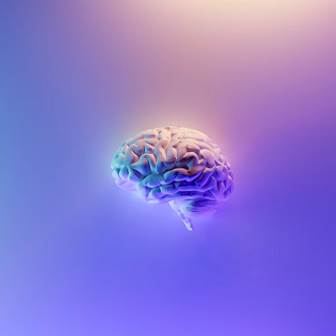 Artist rendering of human brain