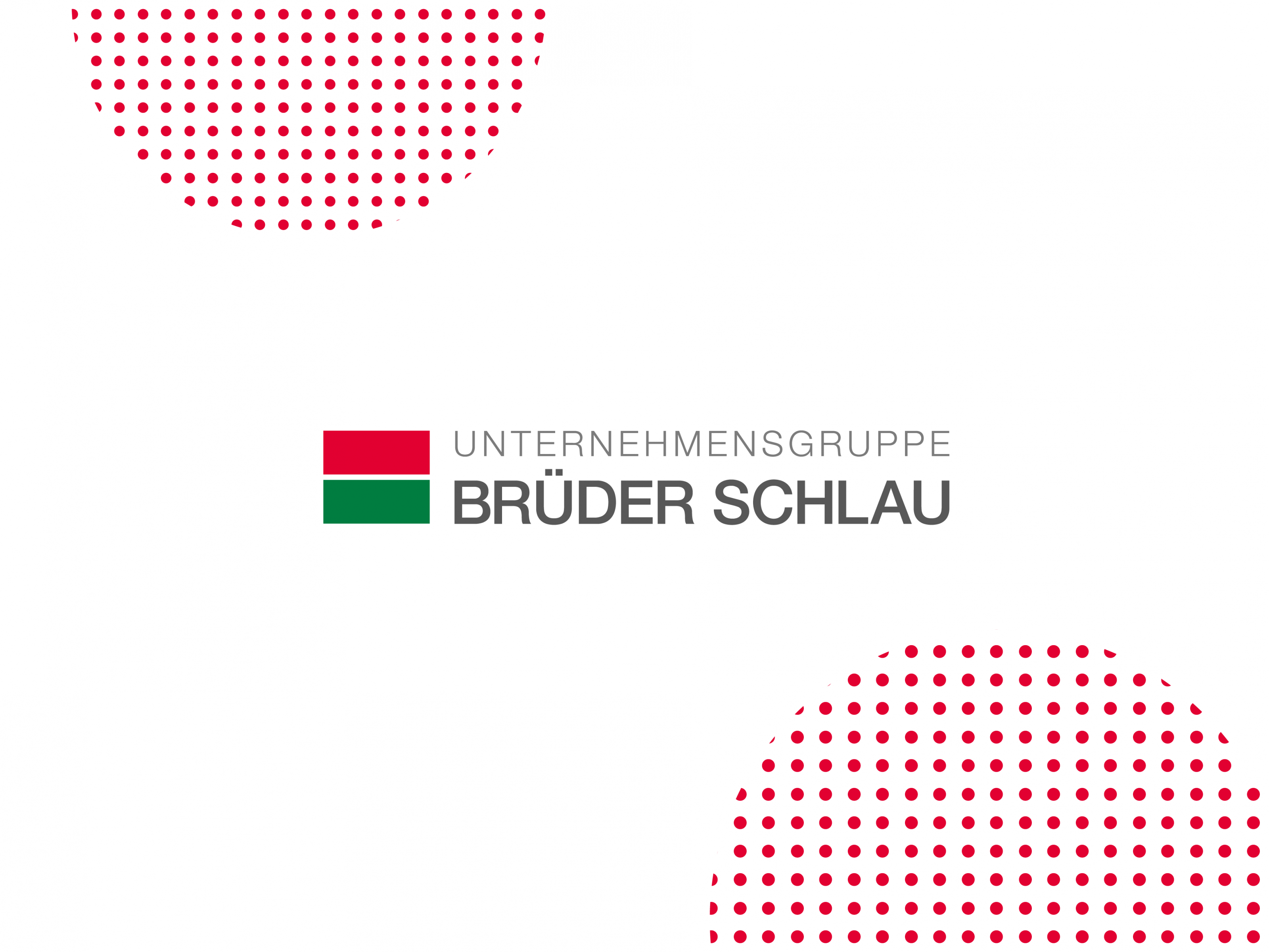 Logo Brüder Schlau