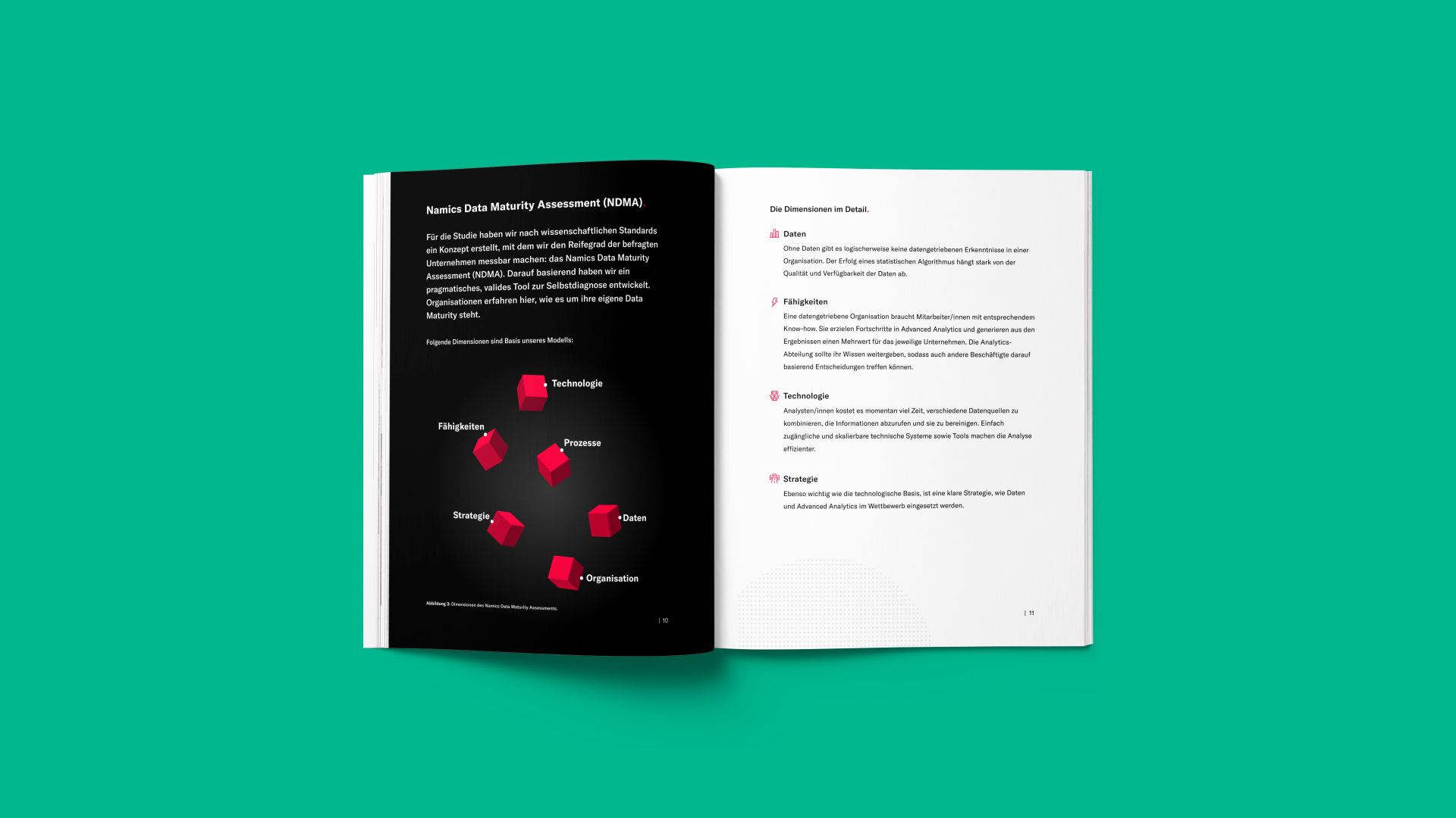 Einblick in die Studie "Rookie oder Pro? Data Maturity in Deutschland und der Schweiz"