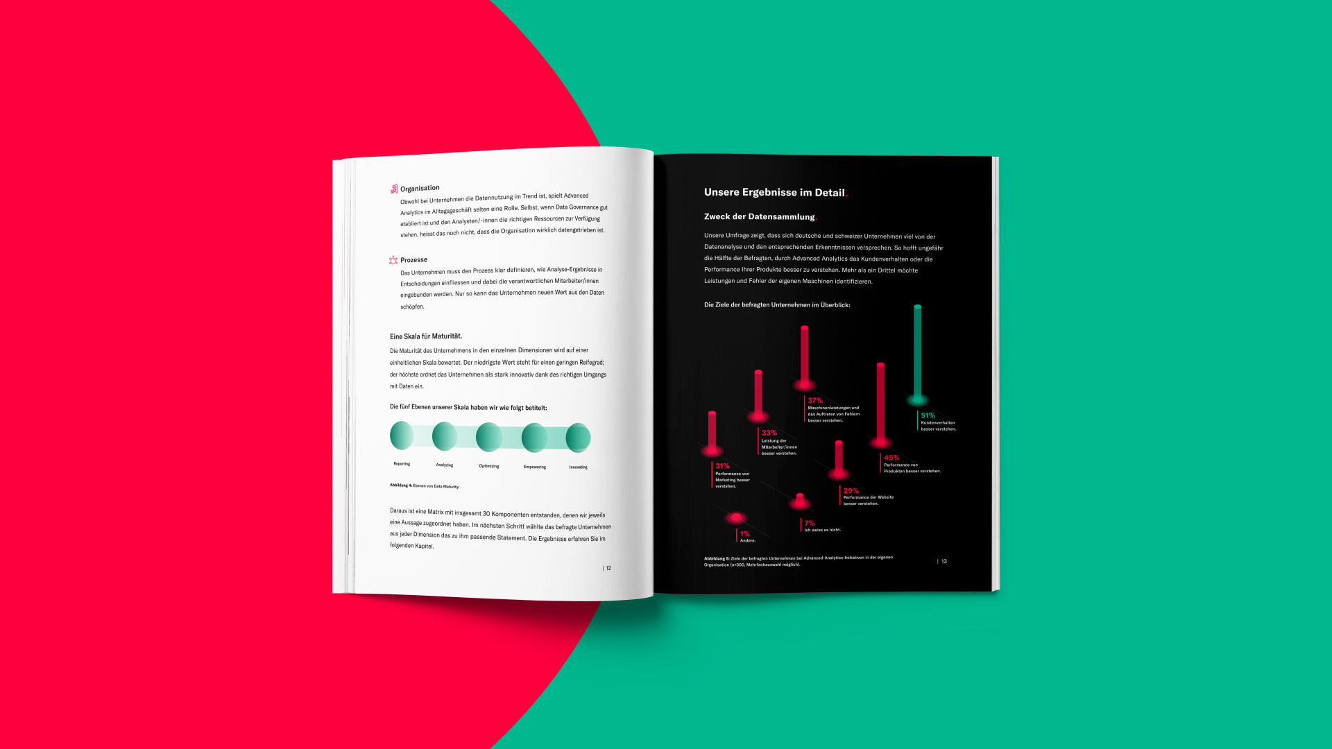 Einblick in die Studie "Rookie oder Pro? Data Maturity in Deutschland und der Schweiz"