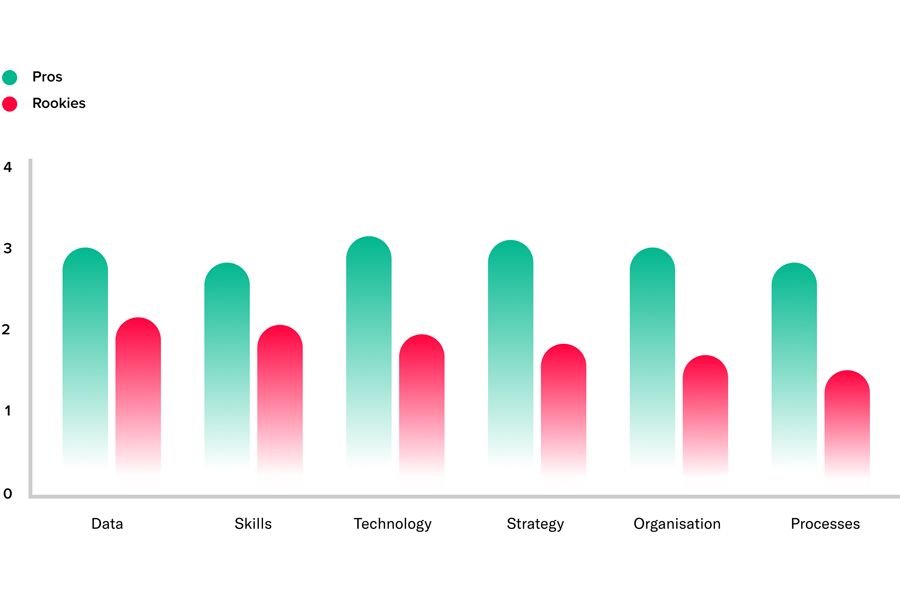 Diagram Data Maturity English