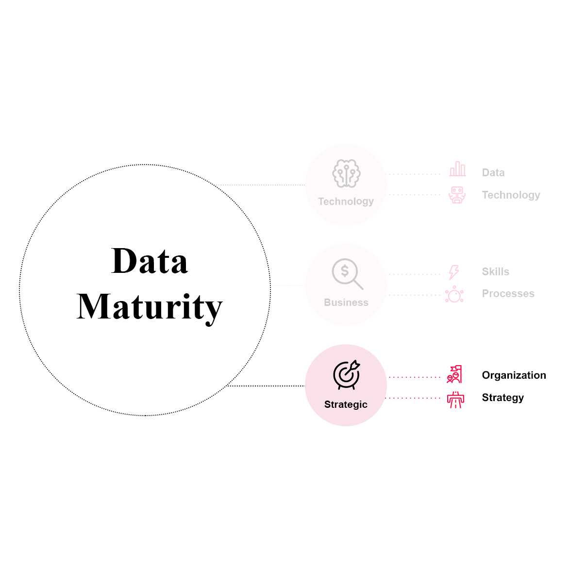Data Maturity