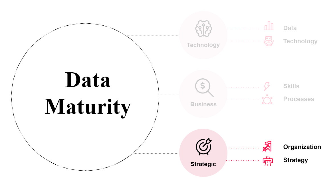 Data Maturity Referenz